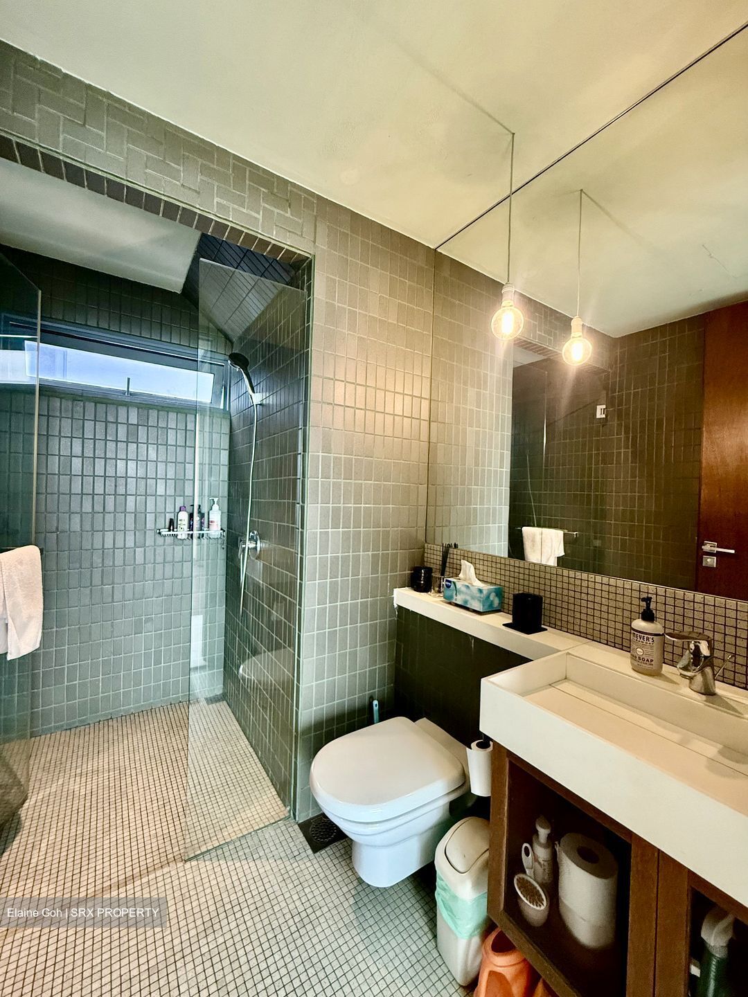 The Trizon (D10), Condominium #598088931